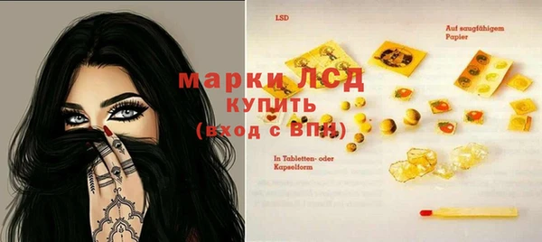сатива Лихославль