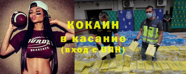 сатива Лихославль