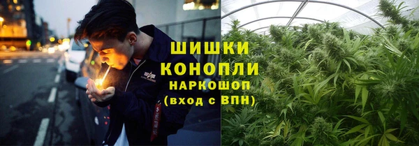 сатива Лихославль