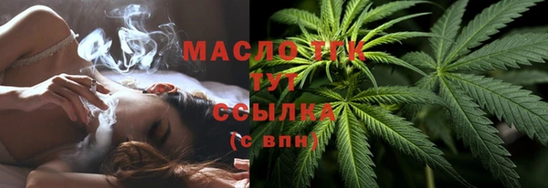 сатива Лихославль