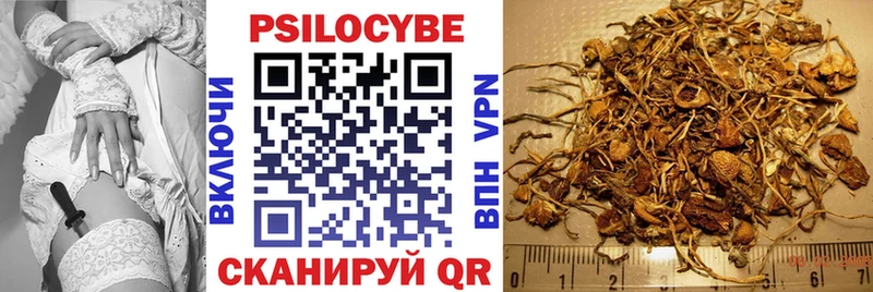 Галлюциногенные грибы Magic Shrooms  Купить где  Бакал 